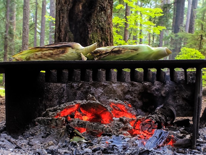 Bushcraft in a Beautiful forest! Cooking meat with potatoes under