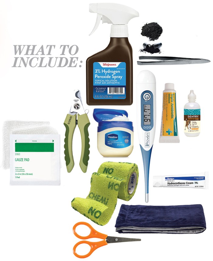 what should be in a dog first aid kit