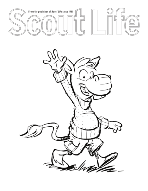 Download Download A Scout Life Coloring Book Scout Life Magazine