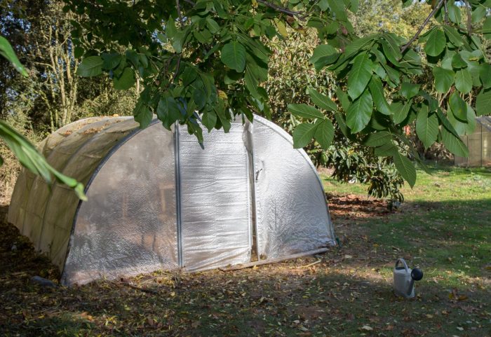 Plastic tunnel outside greenhouse Plant nurseries with metal frame