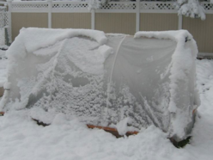 Hoop house in the winter