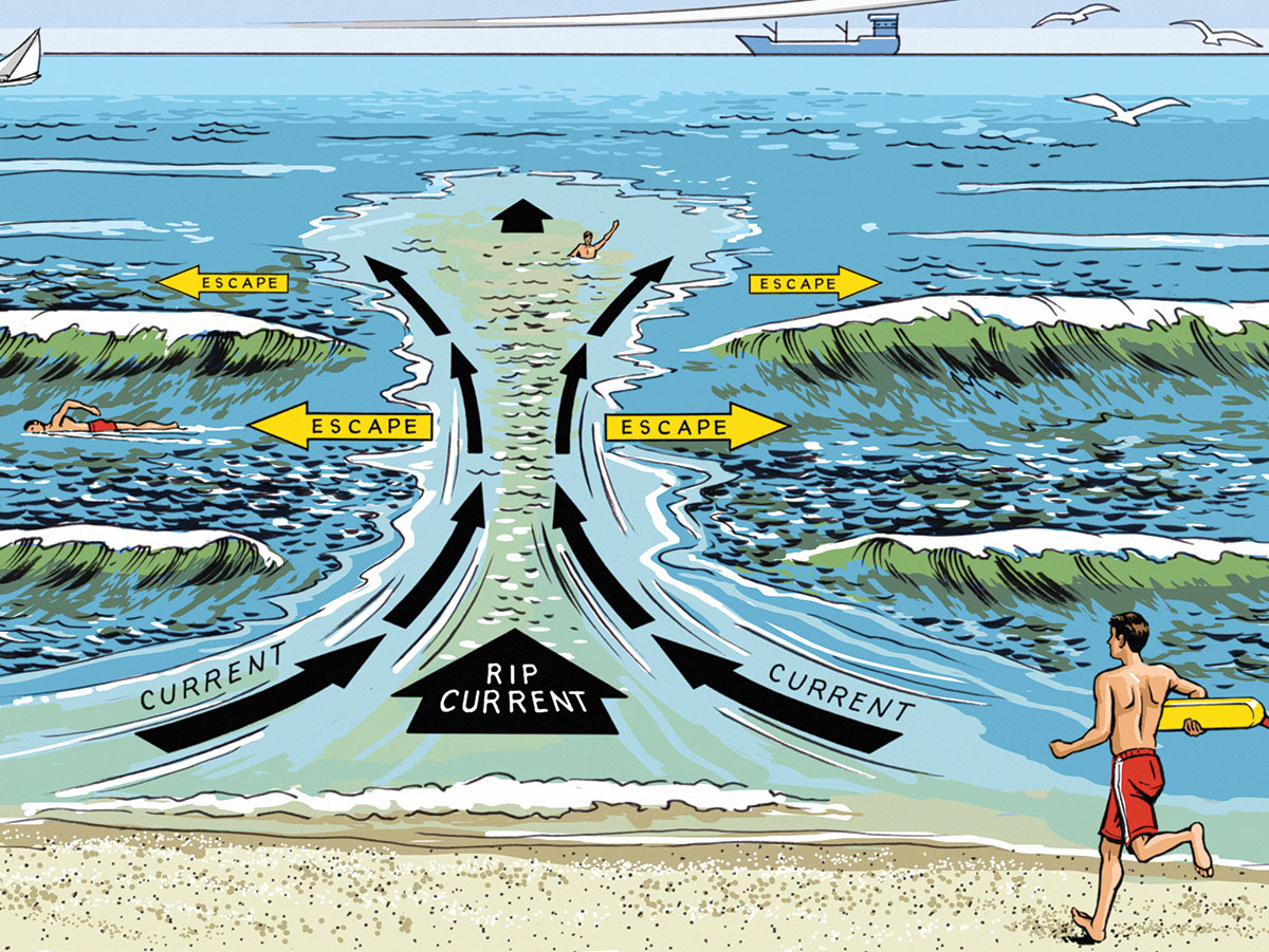 how-to-escape-from-a-rip-current-scout-life-magazine