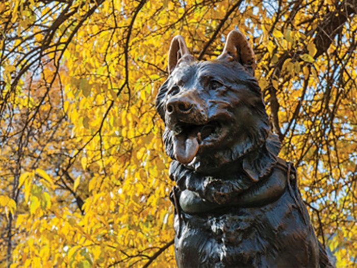 statue of Balto in New York City