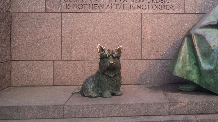 8 Awesome Animals That Got Their Own Statue – Scout Life magazine