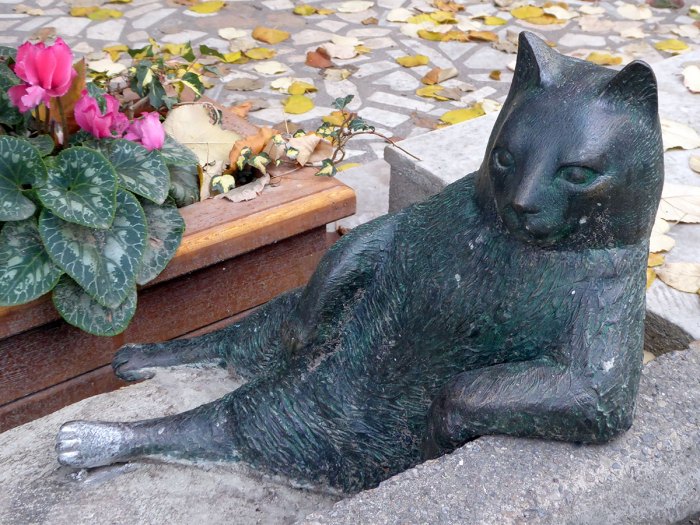 Tombili statue in Istanbul