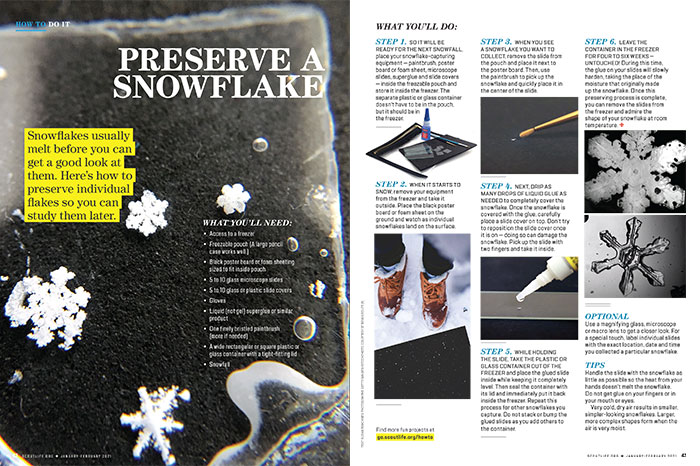 How to Preserve a Snowflake – Scout Life magazine