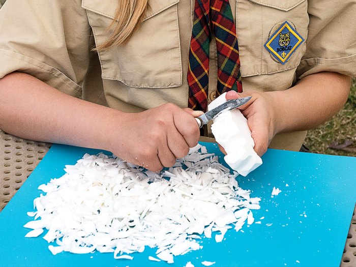 How to Make a Soap Carving Scout Life magazine