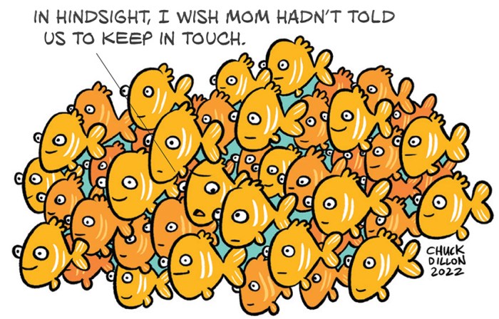 fish in a crowded school