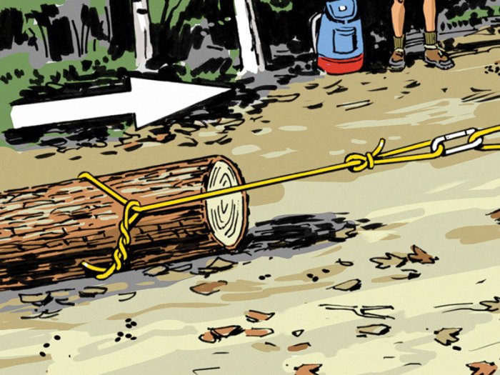 How to Use Rope Tackle to Move a Log – Scout Life magazine