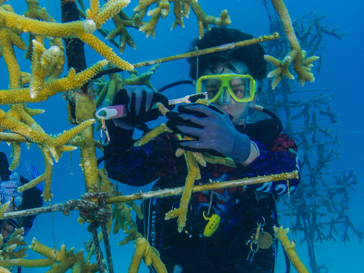 Scouts Help Save Coral Reefs Through a New Sea Base Program