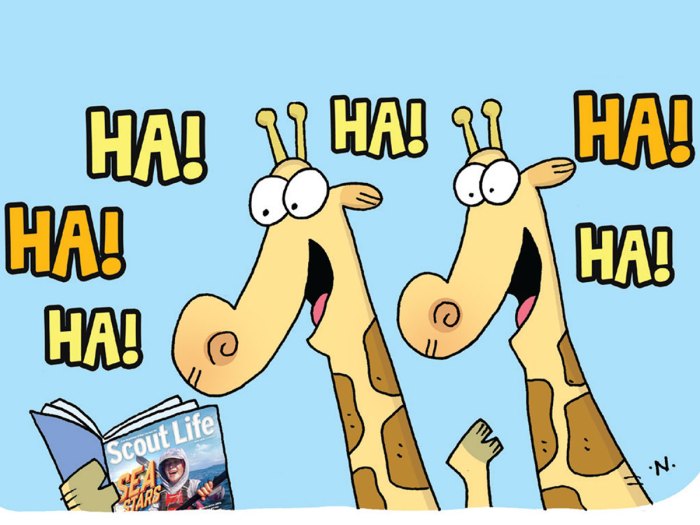 giraffes laughing at funny giraffe jokes