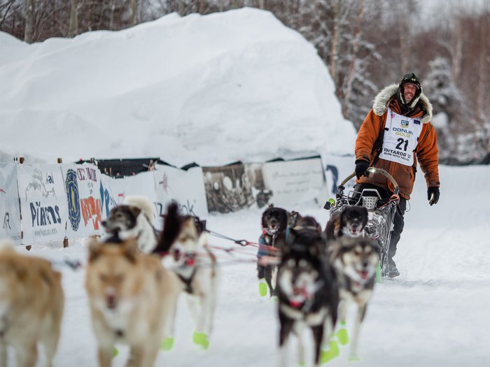 Led by his team of sled dogs, Eagle Scout Brent Sass mushes in the Iditarod, a nearly 1,000 mile race in Alaska.