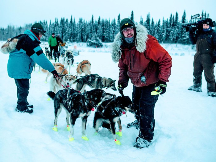 Sass looks ahead while at a checkpoint. Each musher must stop more than 15 times to rest and take care of their dogs.