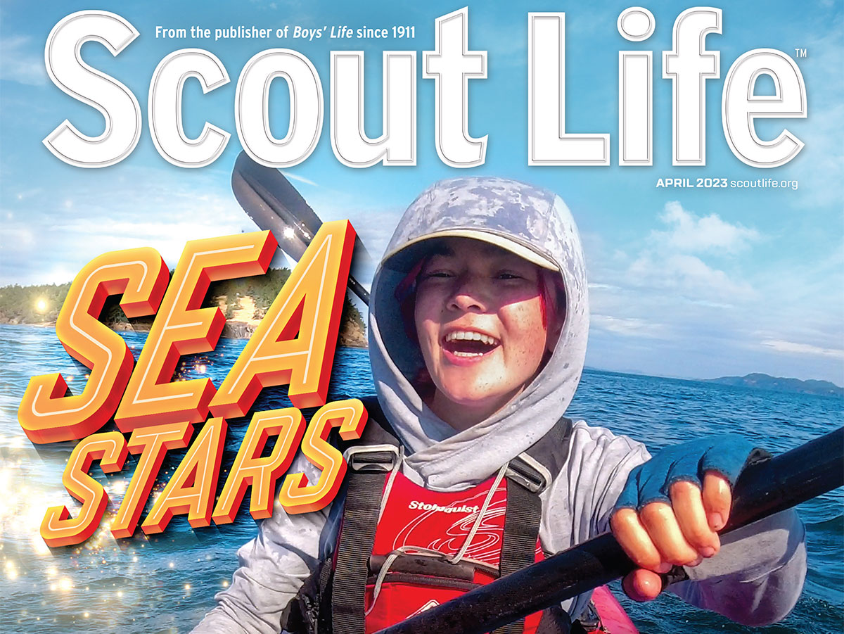 How to Play Capture the Flag – Scout Life magazine