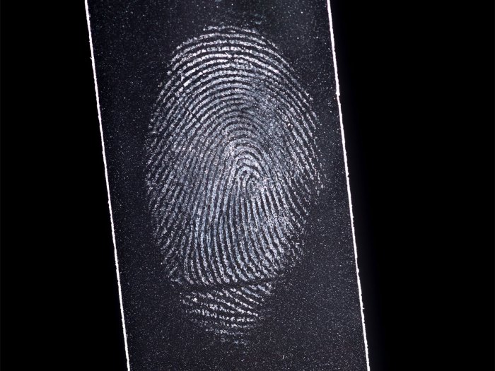 fingerprint on adhesive tape