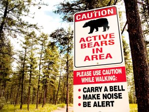 Sign warning of bears in the area