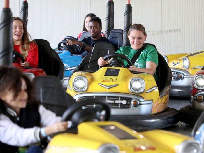 Scouts in bumper cars