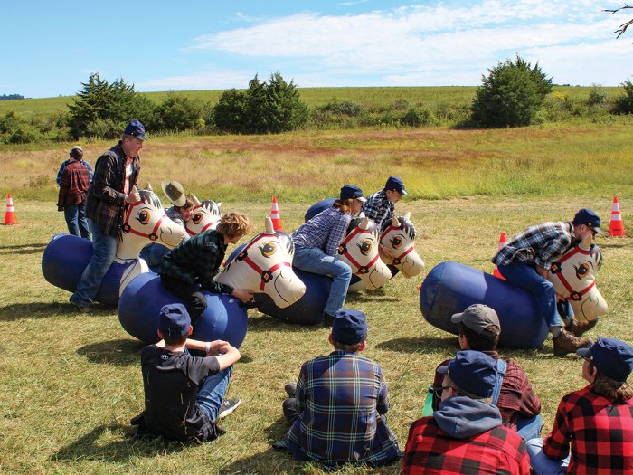 Scouts on inflatable horses