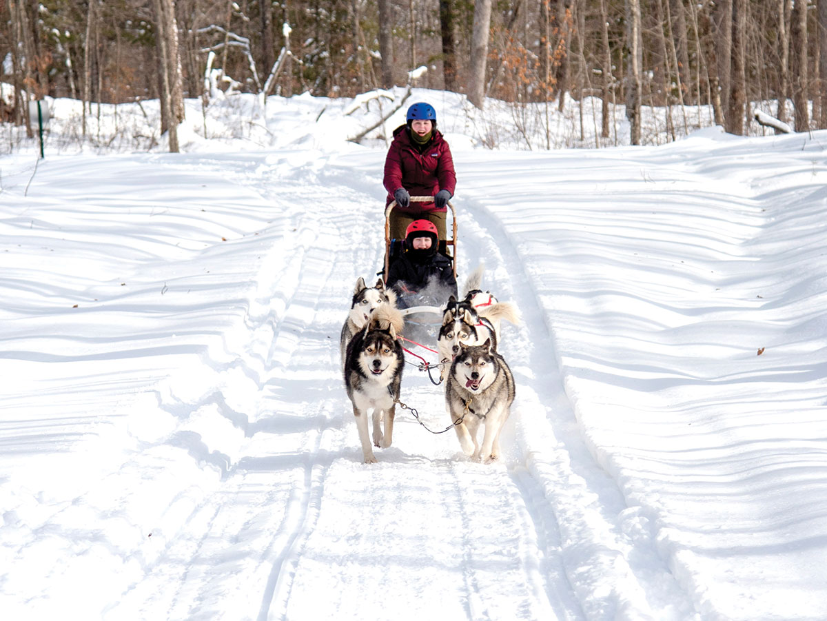 Ride Along as These Scouts Go Dog-Sledding in Wisconsin
