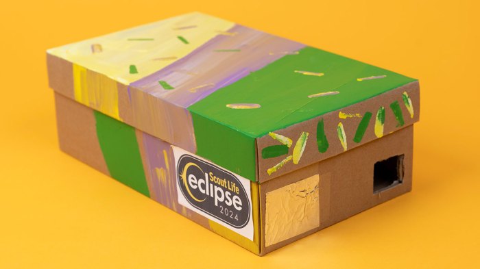 Decorated solar eclipse viewer