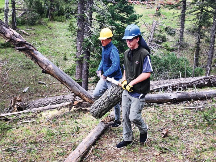 Scouts clear downed trees from a meadow