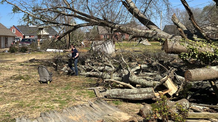 Cleaning up a yard in Mississippi