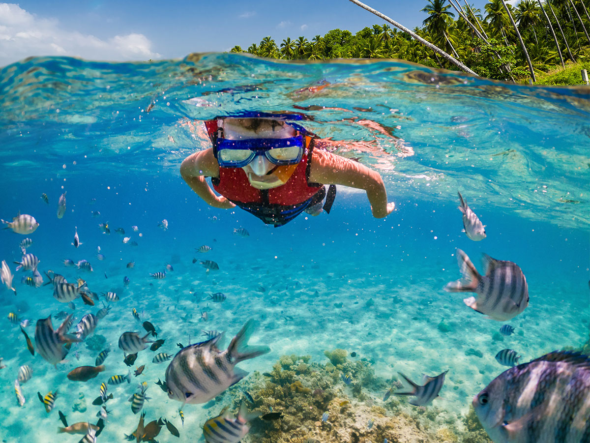 How to Buy Snorkeling Gear for an Underwater Adventure