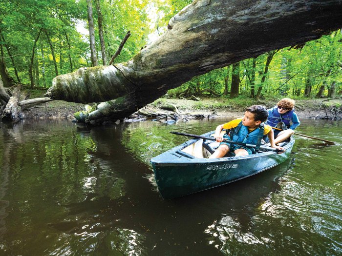 Scouts ducking to canoe under a tree