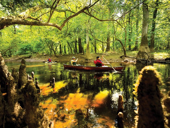 Scouts and their leaders paddle