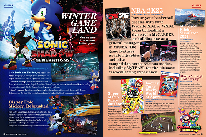 layout of winter videogames article article