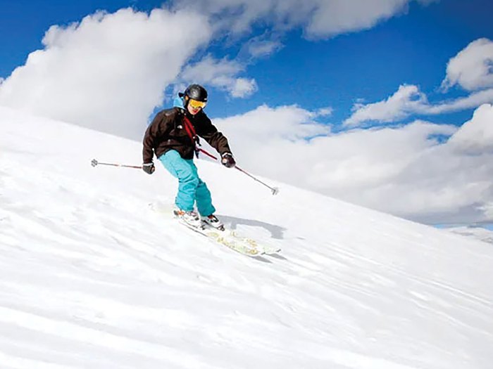 scout skiing