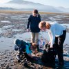 Scouts searching for clams