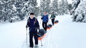 Scouts pull pulk sleds while snowshoeing in Colorado