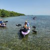 Scouts in kayaks picking up trash