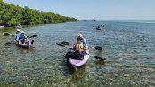 Scouts in kayaks picking up trash