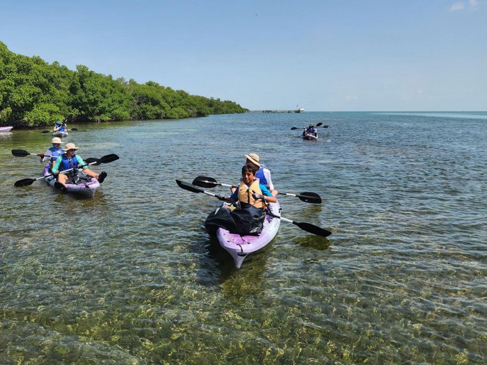 Scouts in kayaks picking up trash