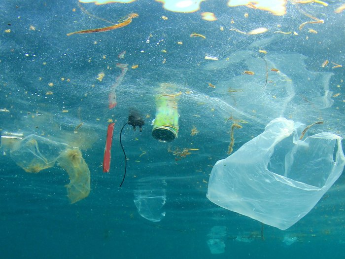 plastic floating in a lake