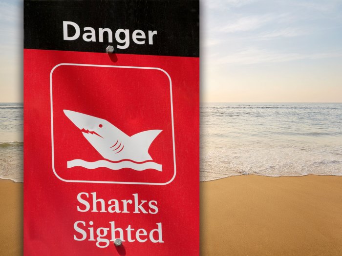 sign warning of shark danger at beach